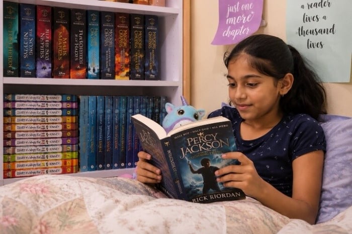 Full chapter books and series