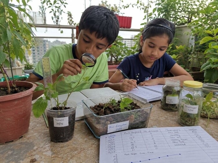 Biology and ecosystem projects