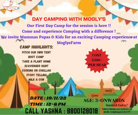 Moglys - Day Camping