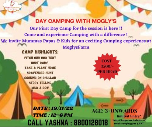 Moglys - Day Camping