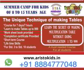 Aristo Kids-Summer Camp