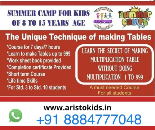 Aristo Kids-Summer Camp