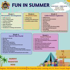 The Popsicles-Fun in Summer