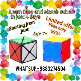 Rubiks Cube Classes-Dino & Skweb Cube