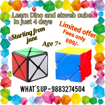 Rubiks Cube Classes-Dino & Skweb Cube