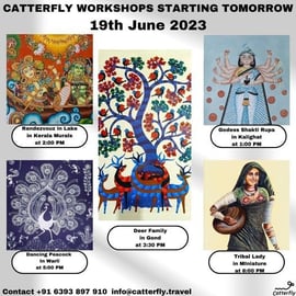 Catterfly-Workshops