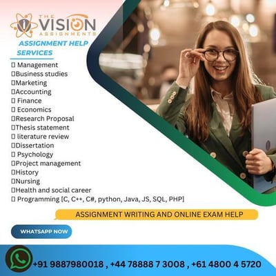 The Vision Assignments-Assignment Writing and Online Exam Help