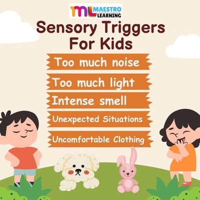 Maestro Learning-Sensory Triggers For Kids