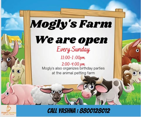 Moglys Farm-Birthday Parties