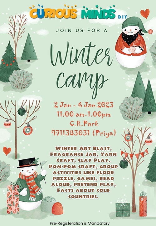 Curious Minds DIY-Winter camp