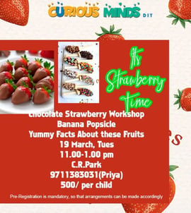 Curious Minds-Chocolate Strawberry workshop