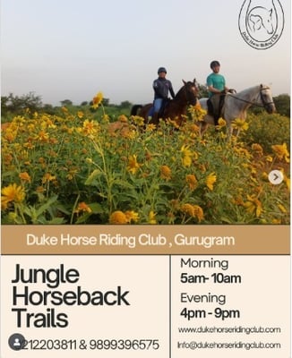 Duke Horse Riding Club  -  Horse Riding Program