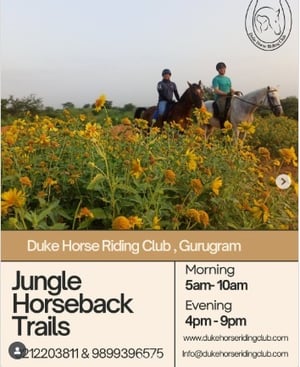 Duke Horse Riding Club  -  Horse Riding Program
