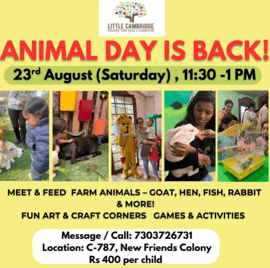 Little Cambridge  -  Animal Day Workshop
