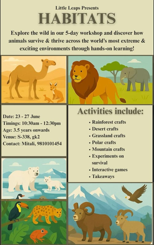 Little Leaps  -  HABITATS workshop
