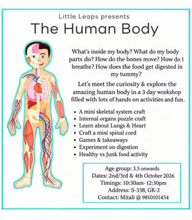 Little Leaps-The Human Body Hands On Science Workshop