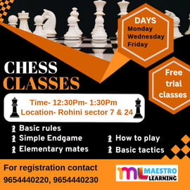 Maestro Learning-Chess Classes