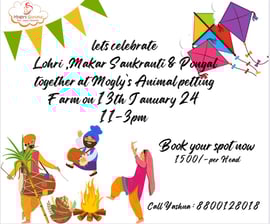 Moglys Gurukul-Lohri