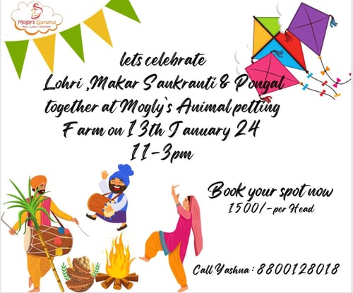 Moglys Gurukul-Lohri