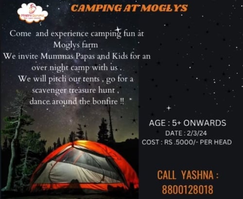 Moglys Gurukul-Night Camp