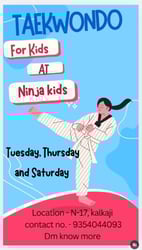 Ninja Kids  -  Taekwondo Classes For Kids