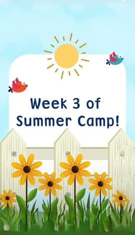 Playful Minds  -  Summer Camp