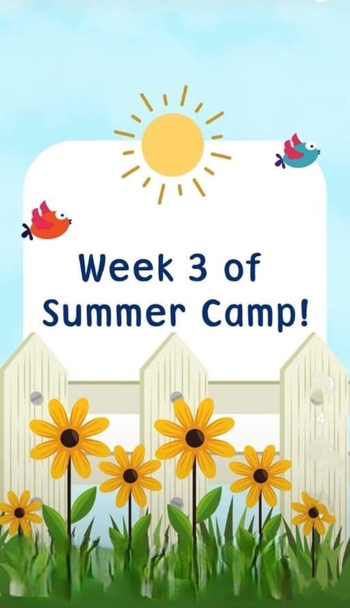 Playful Minds  -  Summer Camp