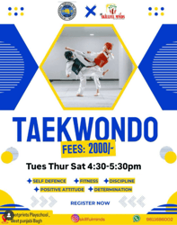 Skillful Minds  -  Taekwondo Class ( Punjabi Bagh )