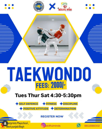 Skillful Minds  -  Taekwondo Class ( Punjabi Bagh )