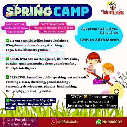 Skillful minds-Spring Camp