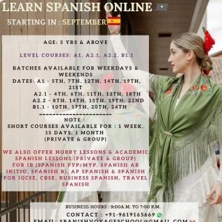 Spanish Voyage School - Online Spanish Classes