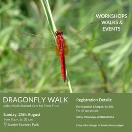 Sunder Nursery Park-Dragonfly walk with Ishtiyak Ahamad