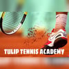 Tulip Tennis Academy