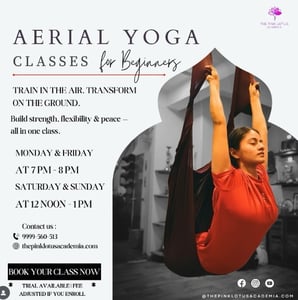 The Pink Lotus Academia  -  Aerial Yoga Classes