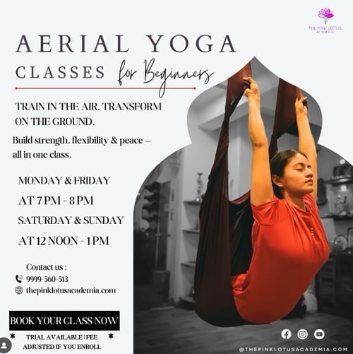 The Pink Lotus Academia  -  Aerial Yoga Classes