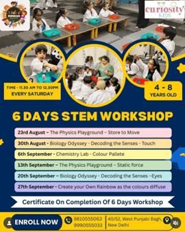 The Popsicles Early Learning Centre  -  STEM Workshop