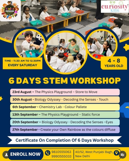 The Popsicles Early Learning Centre  -  STEM Workshop