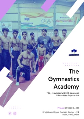 The Gymnastics Academy-international apparatus