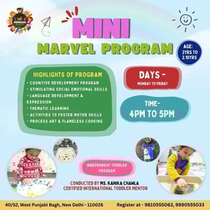 The Popsicles-mini marvel program