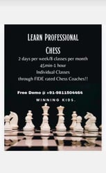 Winning Kids:Professional Chess Classes