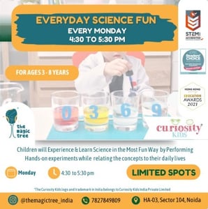 The Magic Tree-Everyday Science Fun