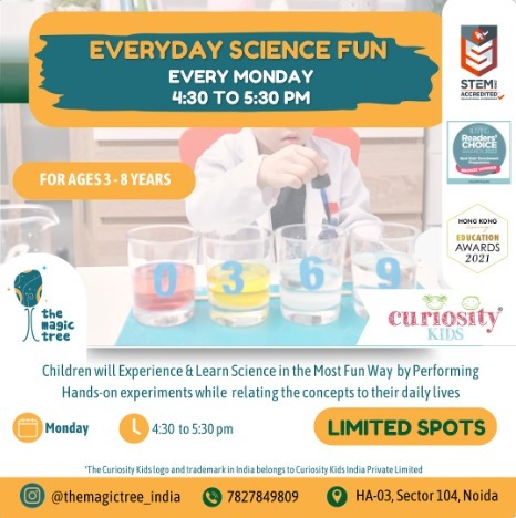 The Magic Tree-Everyday Science Fun