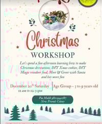 The Messy Cubs-Christmas Workshop