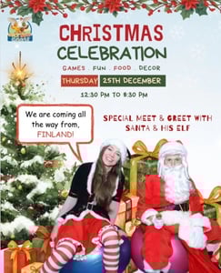 Duck Duck Goose-Christmas Party 2025