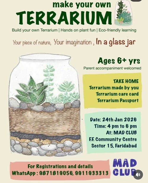 MAD CLUB-Terrarium Building Workshop