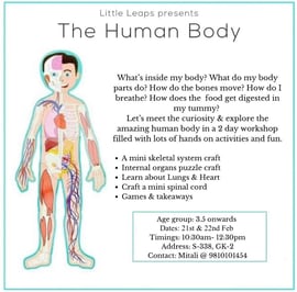 Little Leaps-The Human Body Workshops