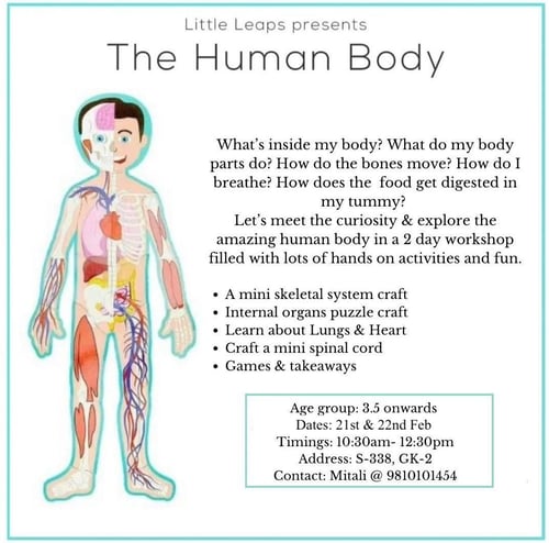 Little Leaps-The Human Body Workshops