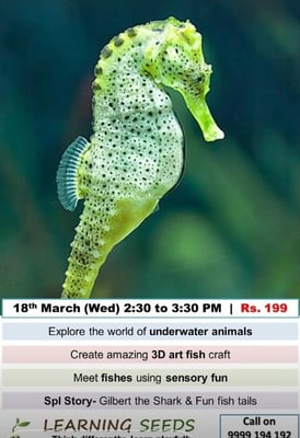 Learning Seeds-Marine Adventures Workshop