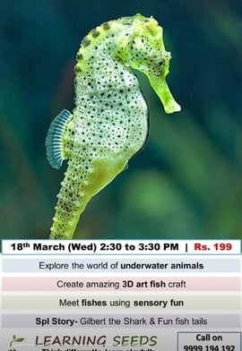 Learning Seeds-Marine Adventures Workshop