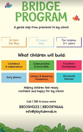 Playful Minds-Bridge Program for Kids